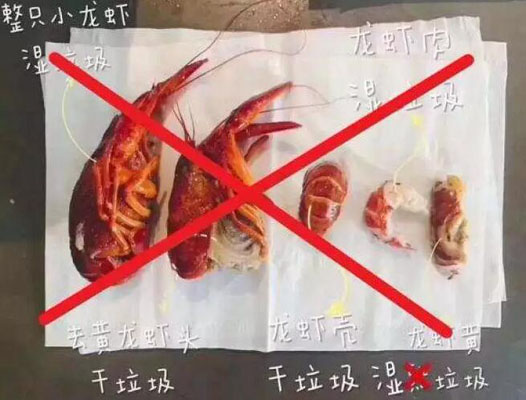 如何區分濕垃圾還是干垃圾?